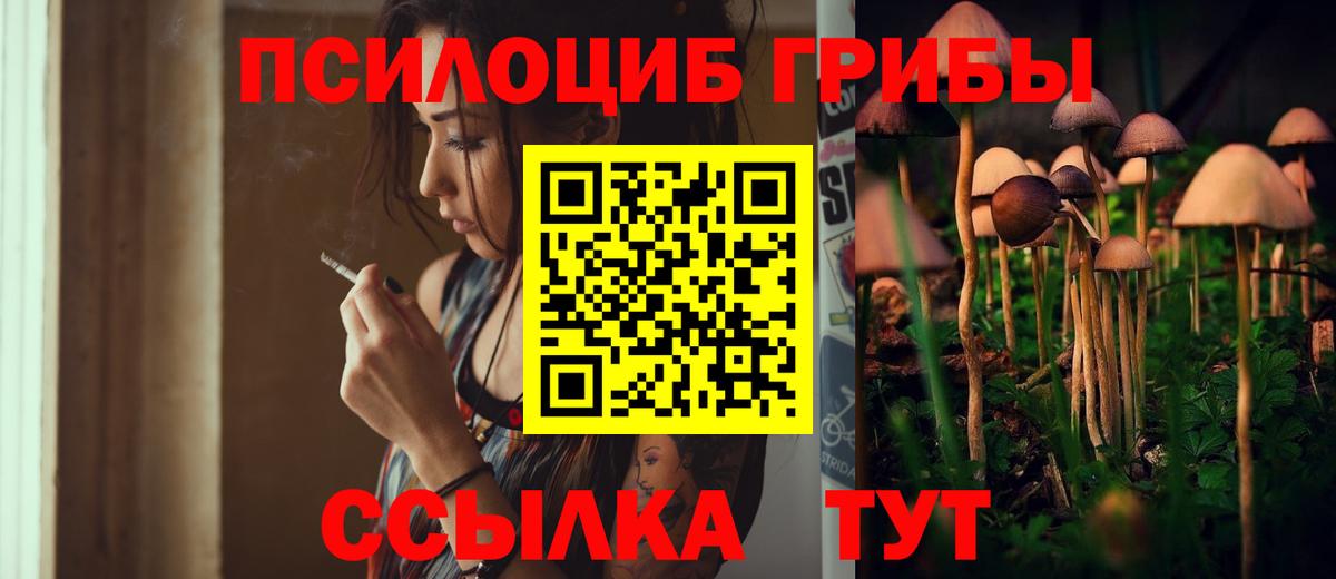 Псилоцибиновые грибы Psilocybine cubensis Валуйки